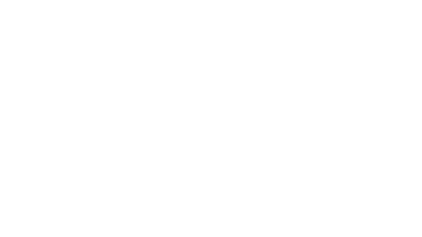 Aura Wheels Logo